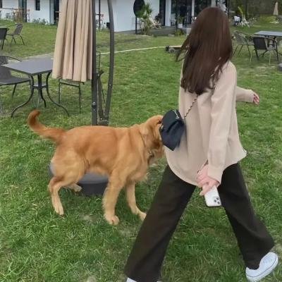 《雨中的女人》封面