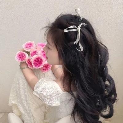《灵武大陆》封面