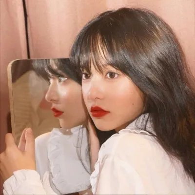 《红宝石玫瑰的故事》封面